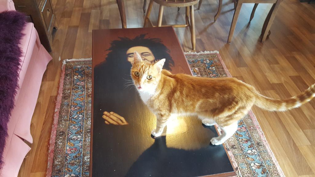 The Bohemian Art Studio Creswick Eksteriør bilde
