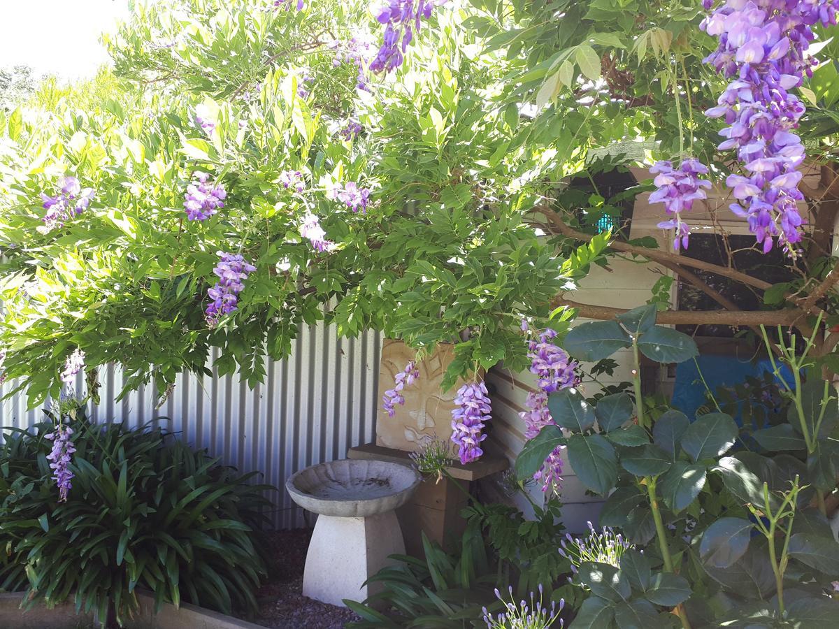 The Bohemian Art Studio Creswick Eksteriør bilde